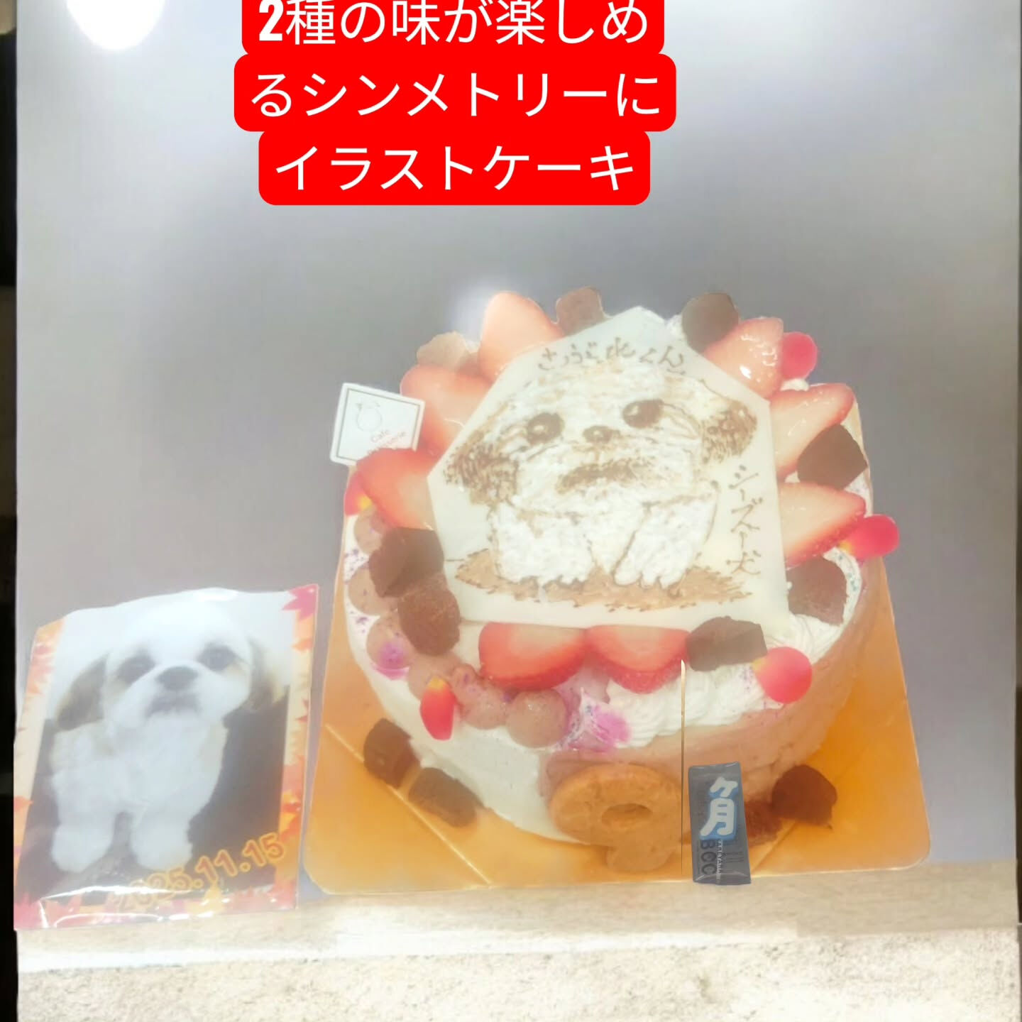 2025年12月31日、大晦日✨ 
