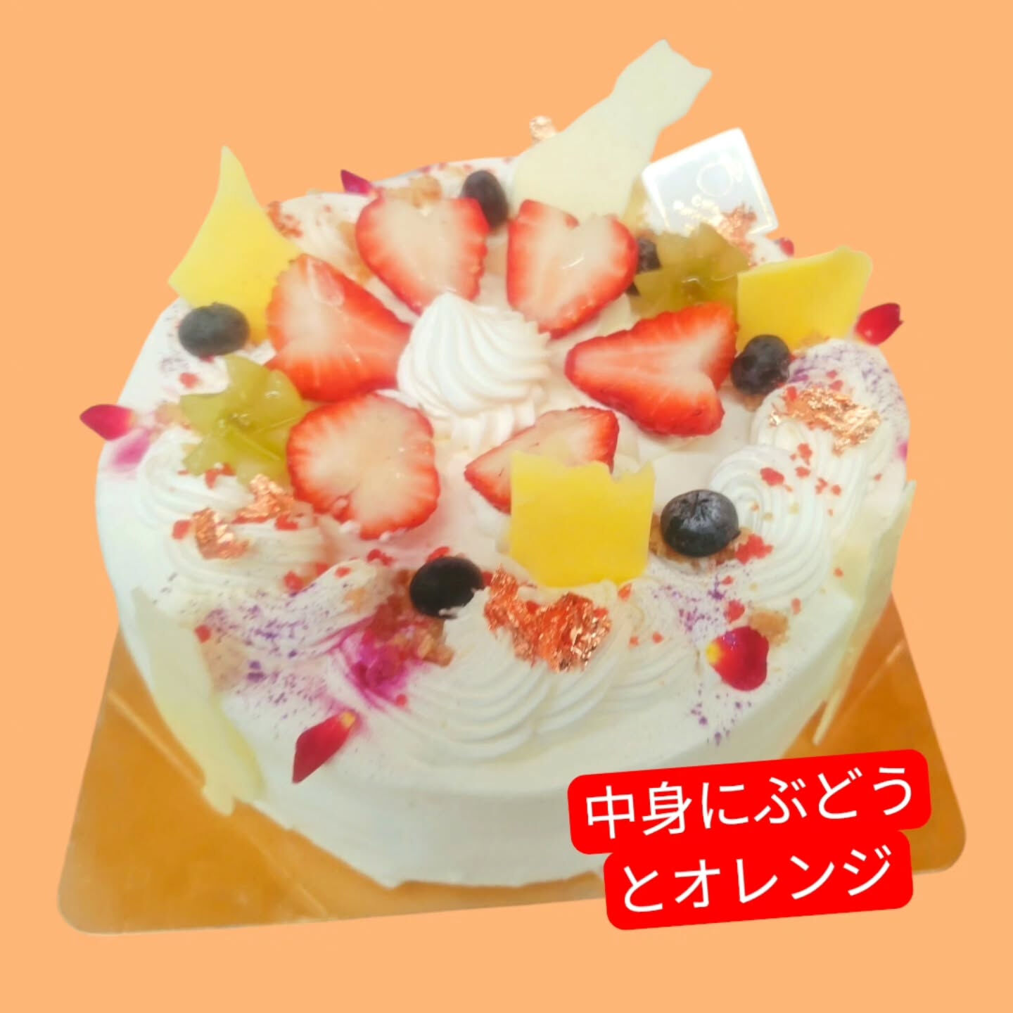 多摩市や府中市で✨驚きに満ちた瞬間を⁡