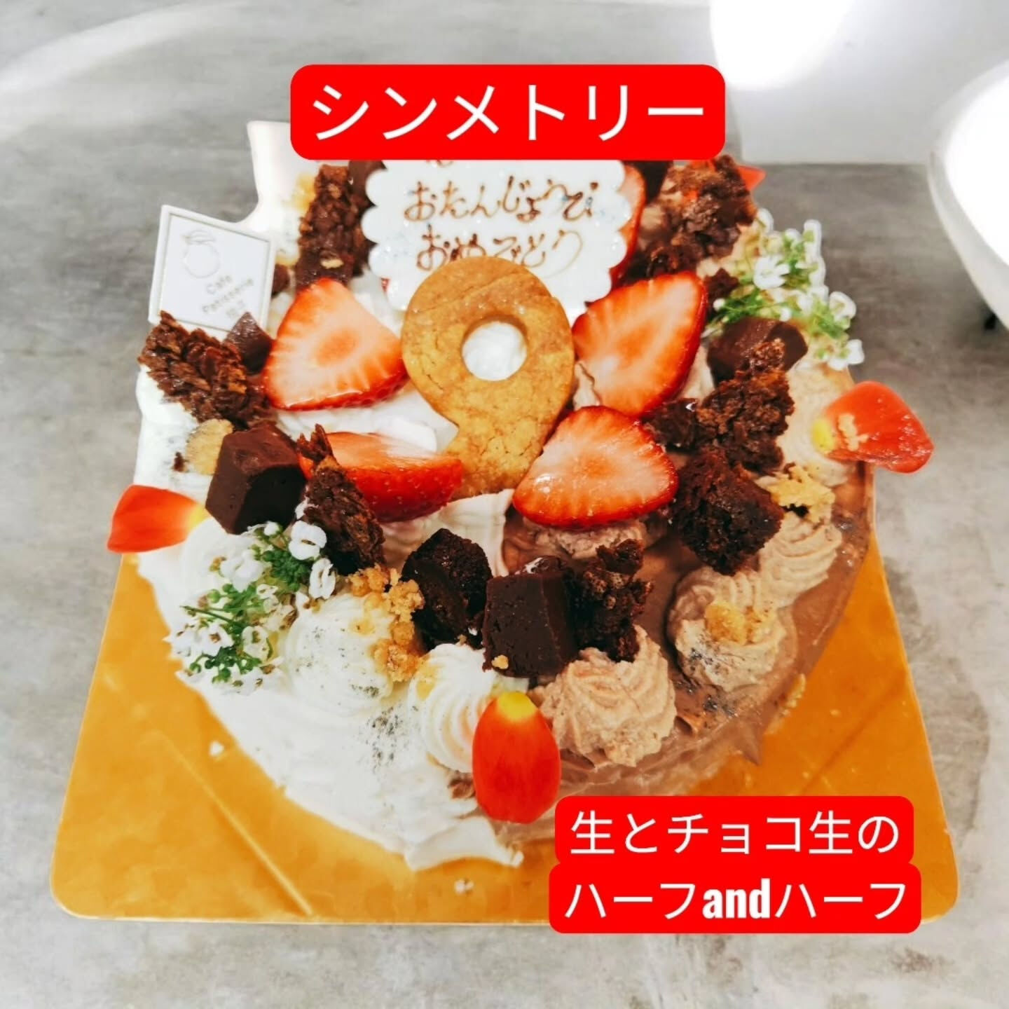 府中市でチョコゃチーズ