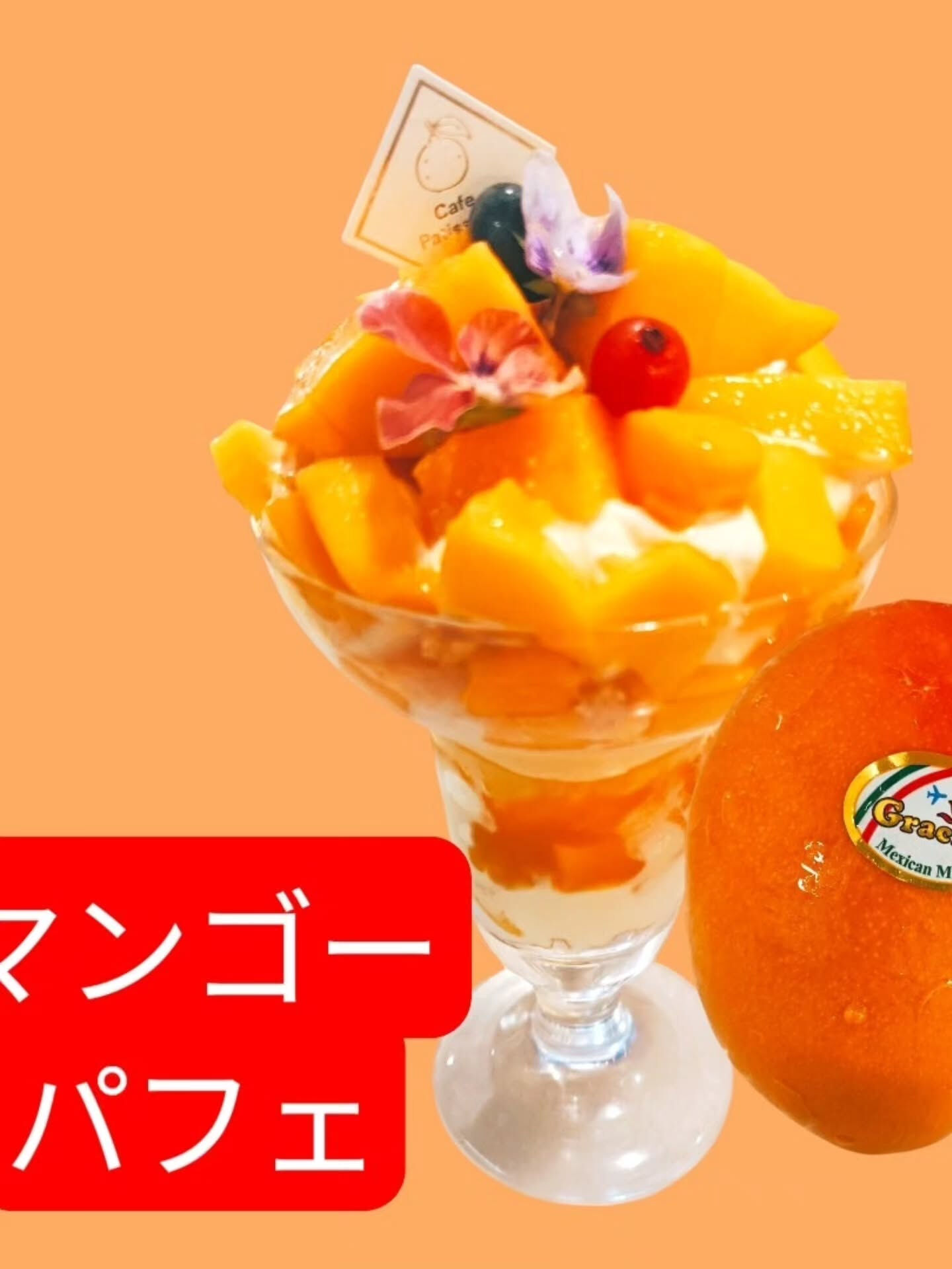 甘さ控えめのシンメトリーケーキ登場🎂
