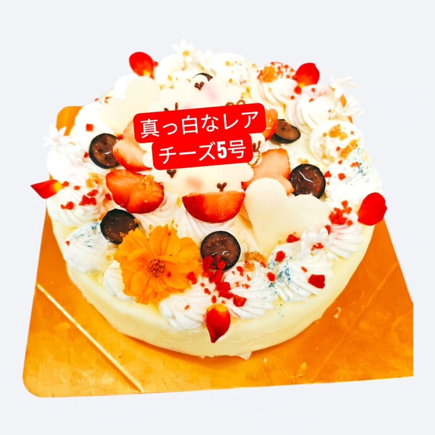 こんにちは、⁡