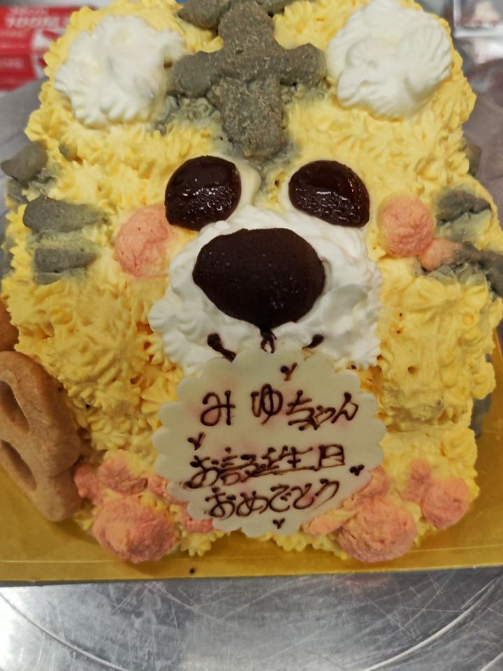 こんにちは！