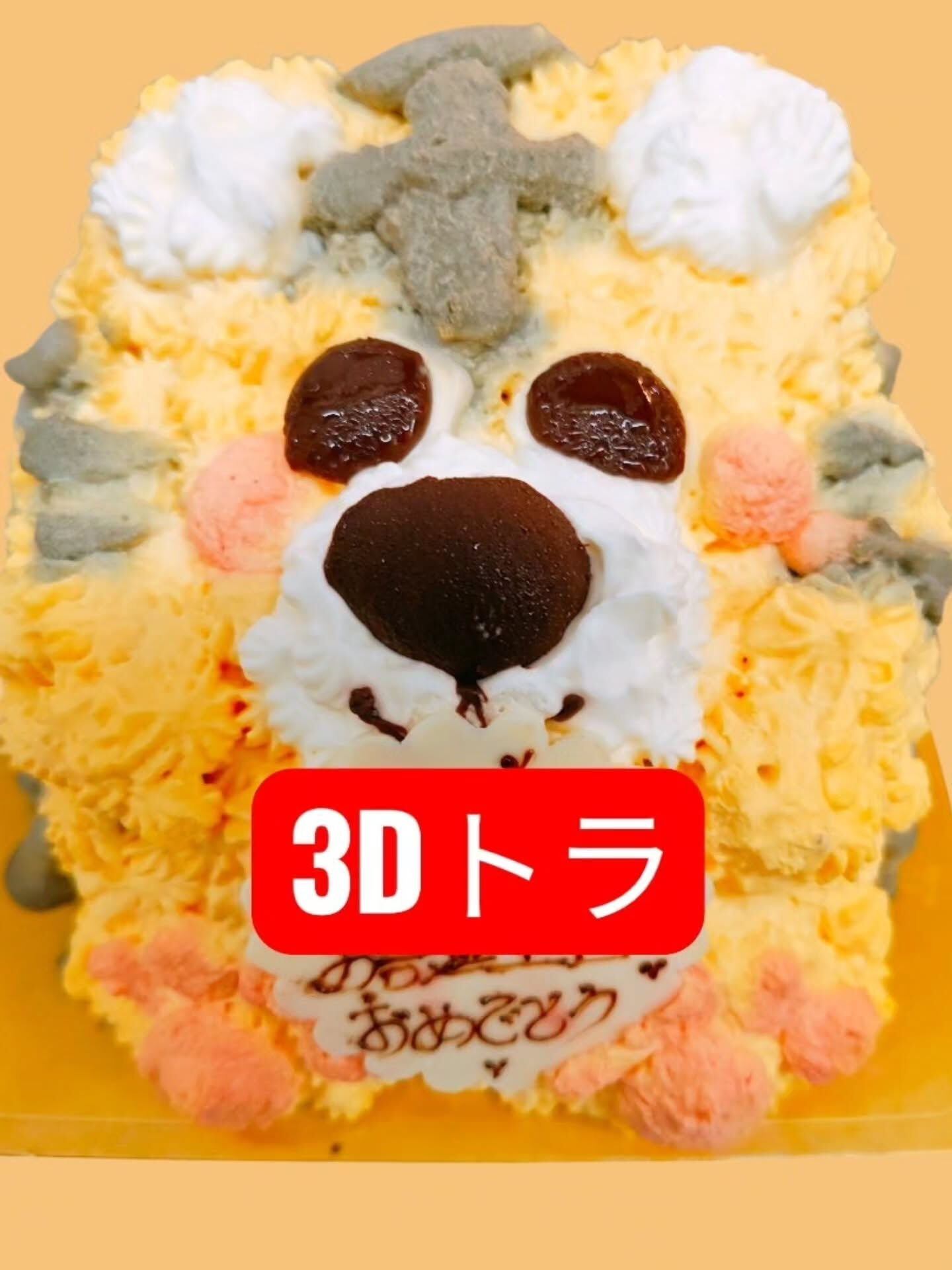 こんにちは！