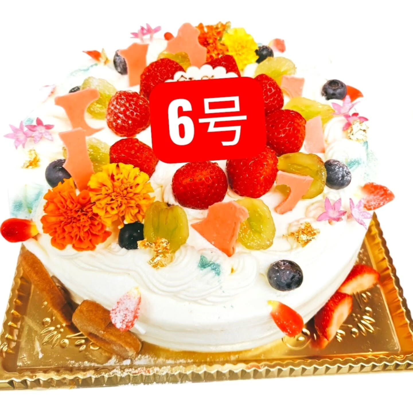 こんにちは！府中市で…