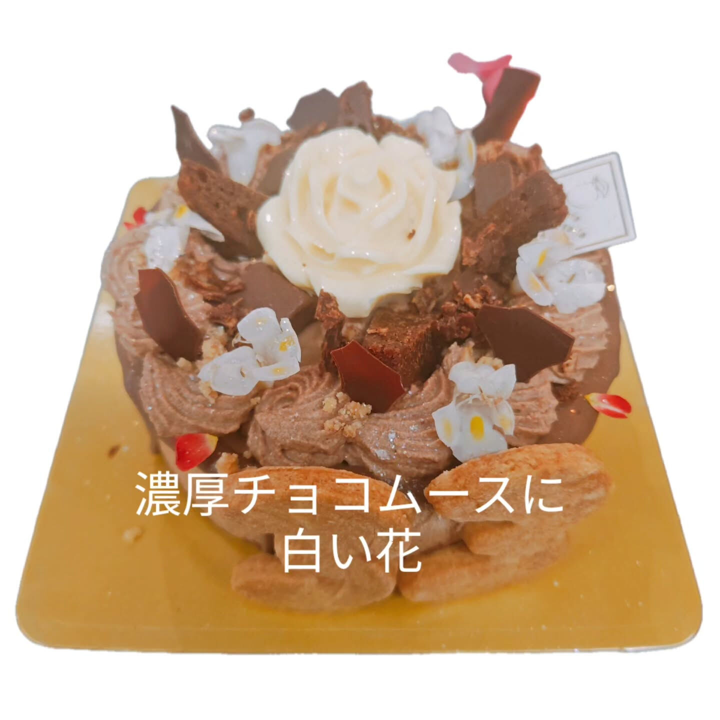 本日のご予約ケーキなど⁡