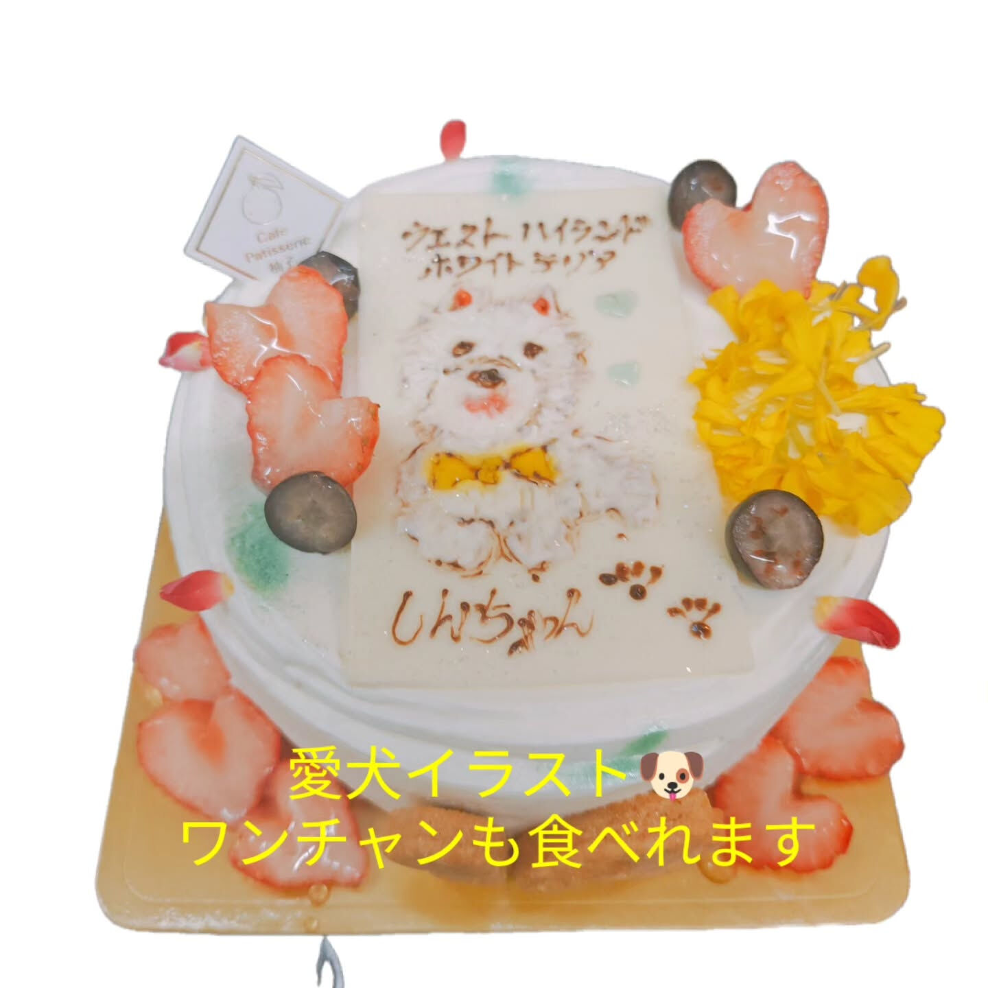 わんちゃん🐶も食べれます😋⁡