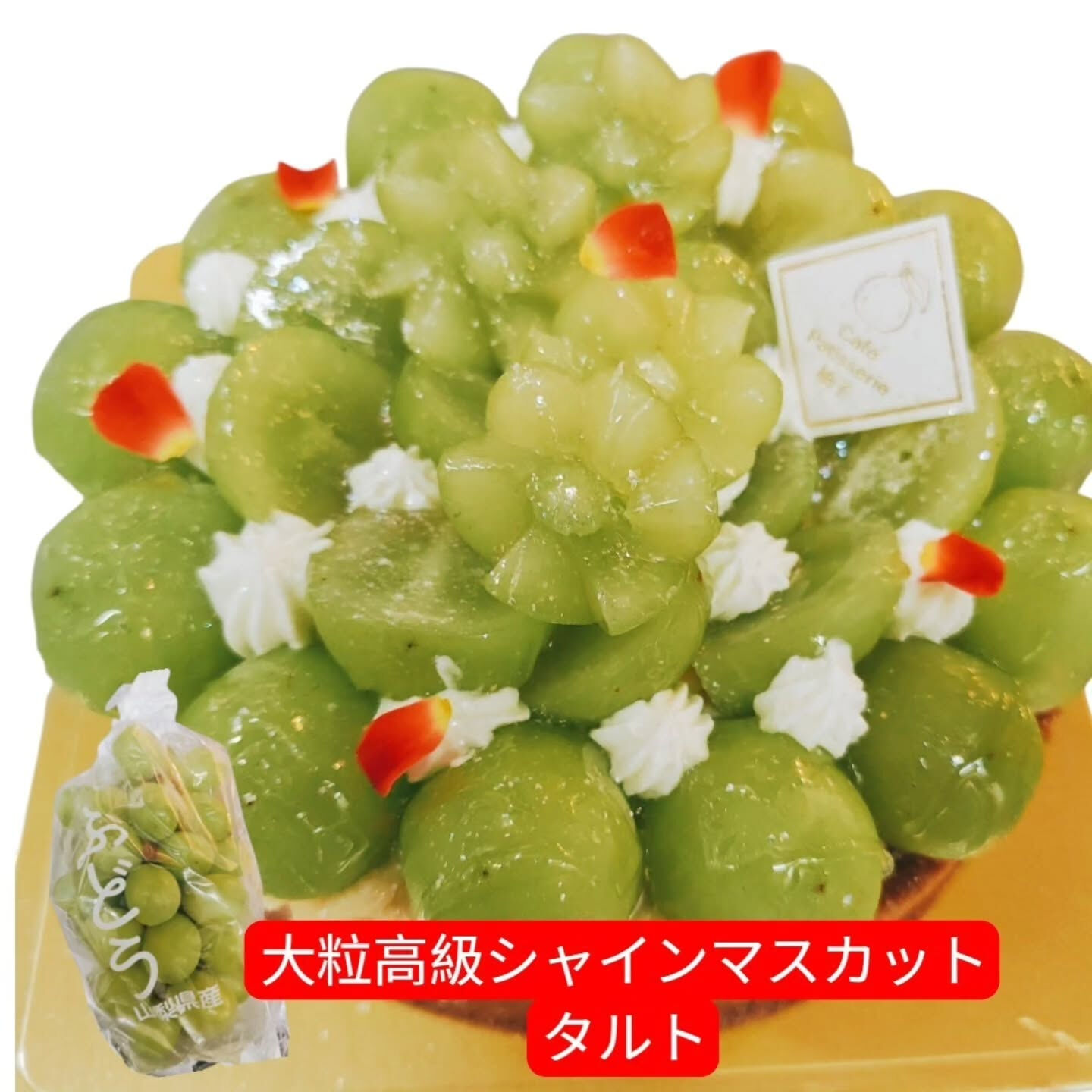 今年もシャインマスカット🍇が