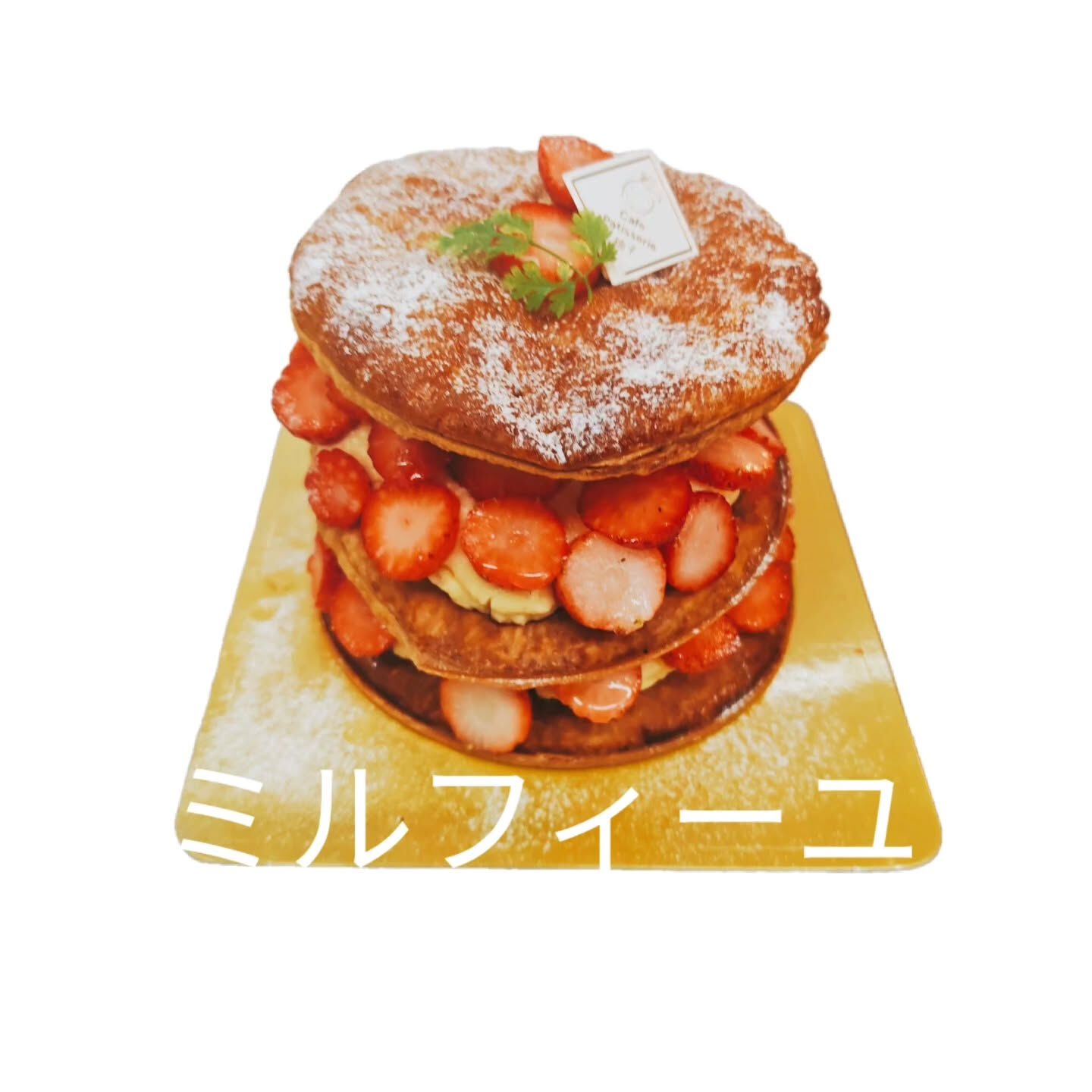 blog
