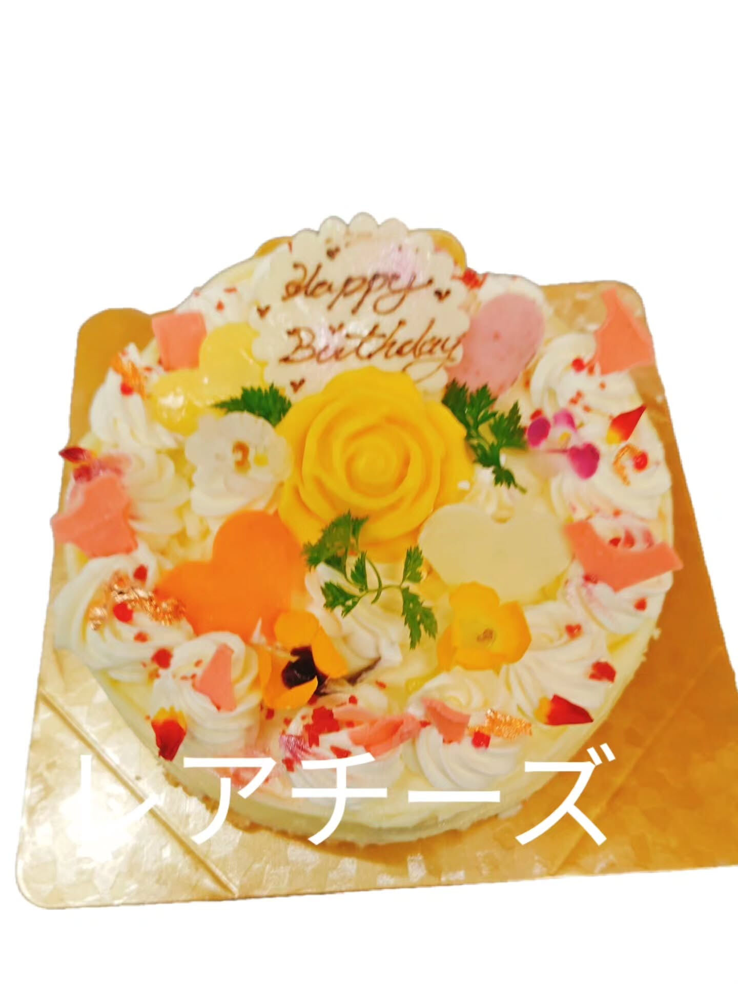 こんにちは🌼